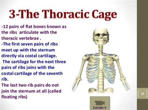 rib cage pain icd 10|right intercostal pain icd 10.